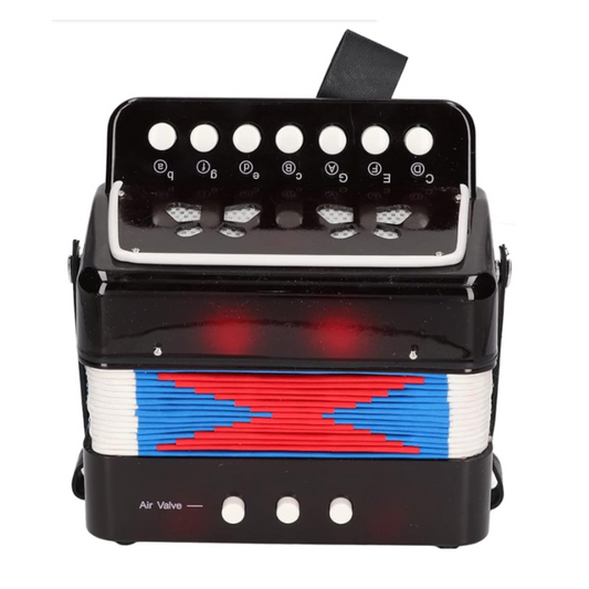 Acordeón Infantil Vallenato Niños Sonido Real 10 Teclas