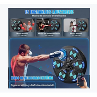 Máquina Boxeo Bluetooth Niveles De Práctica Incluye Guantes