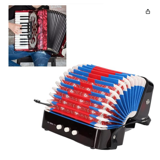 Acordeón Infantil Vallenato Niños Sonido Real 10 Teclas