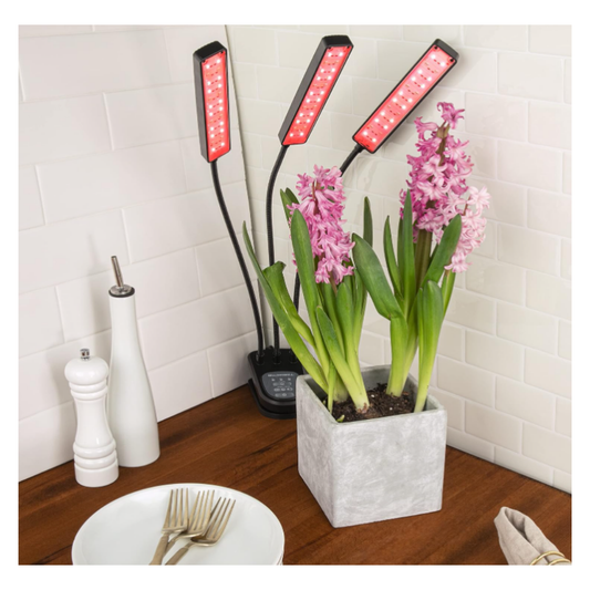 Lampara Led Para Plantas Matas De Cultivo En Interiores