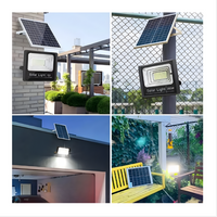 Reflector Solar 800w Jortan Alta Potencia Exterior Control R - Plateado