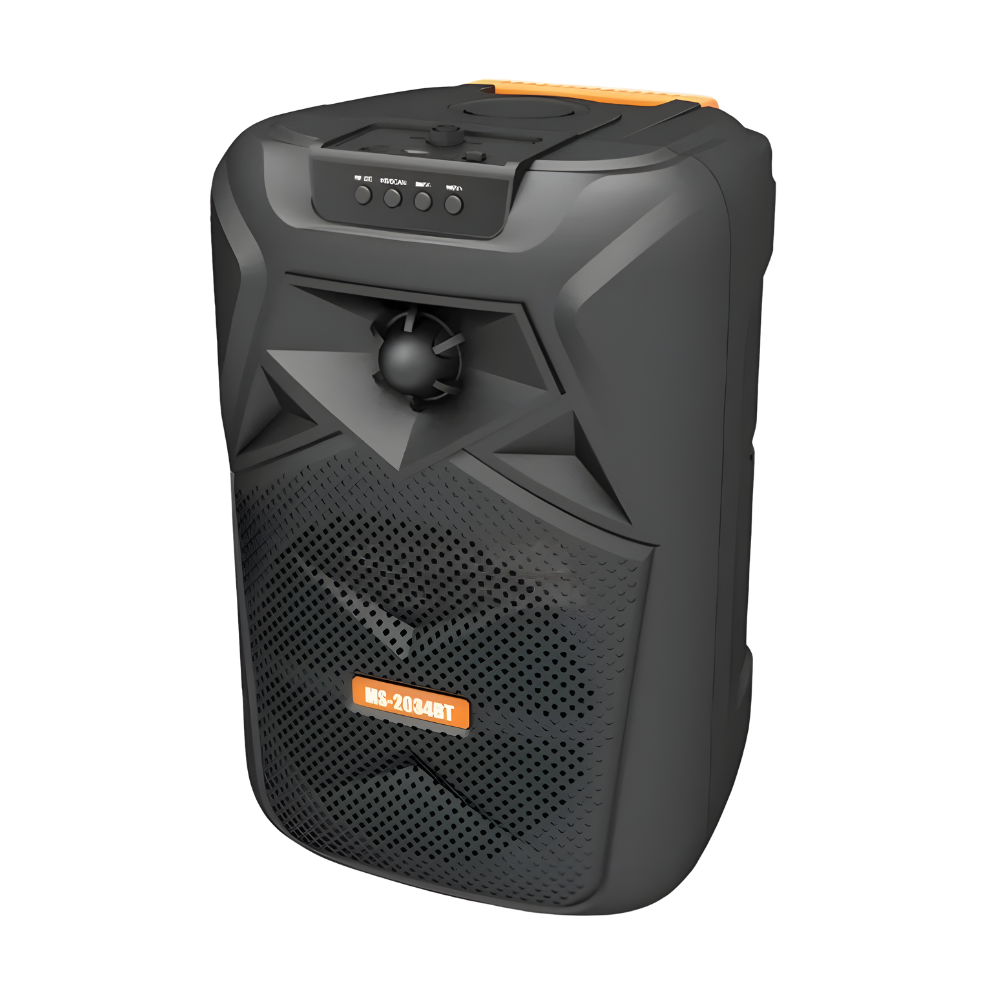 Parlante Negro Portátil Recargable Con Bluetooth MS -2034 BT