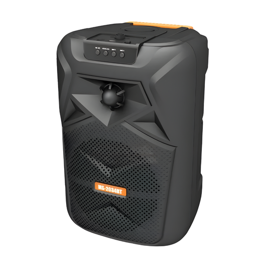 Parlante Negro Portátil Recargable Con Bluetooth MS -2034 BT